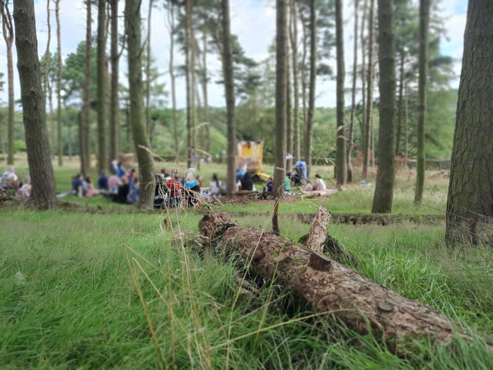an arty photo of a woodland setting. The camera focuses on a fallen log and out of focus in the background an audience watch a theatre show