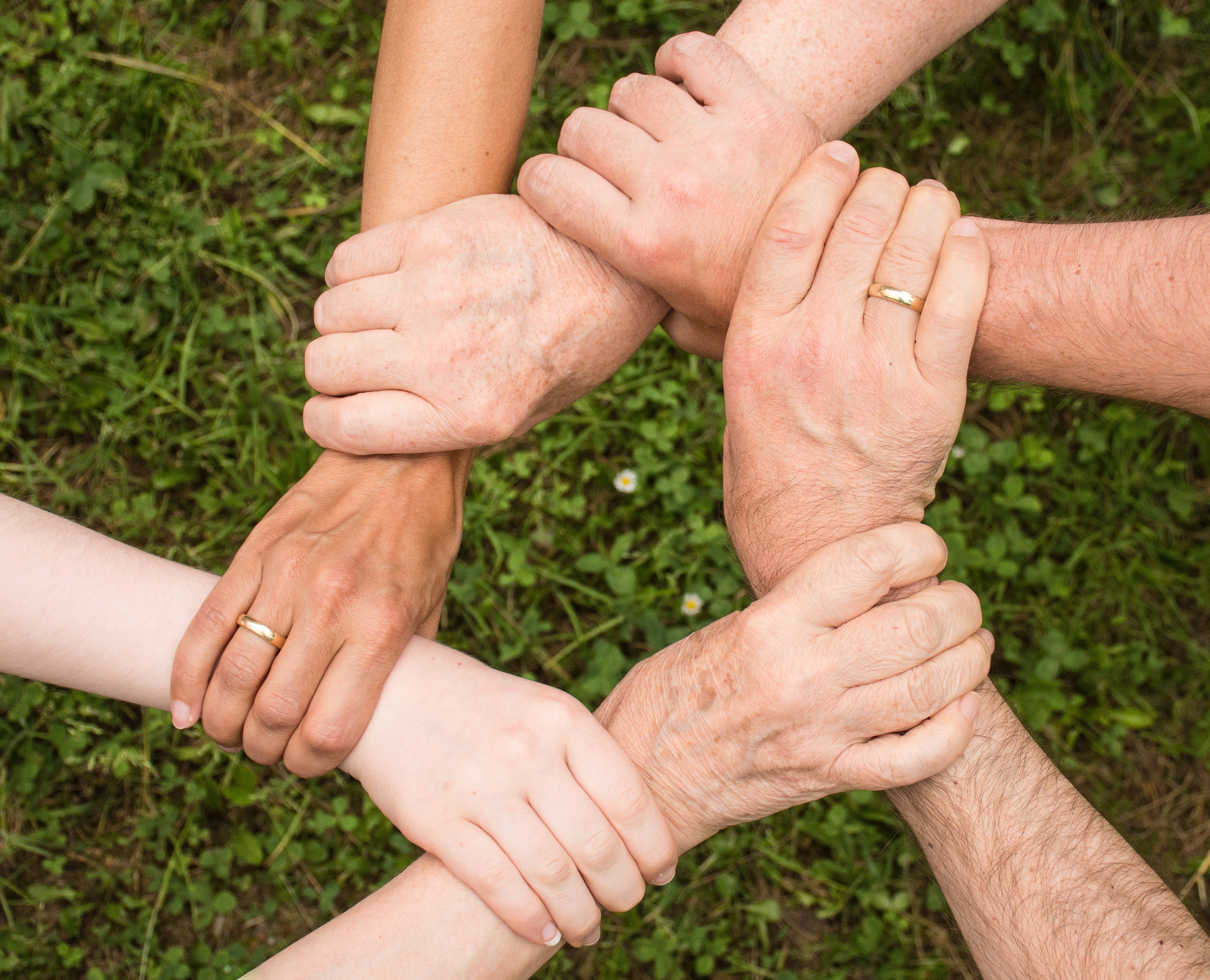 people holding hands