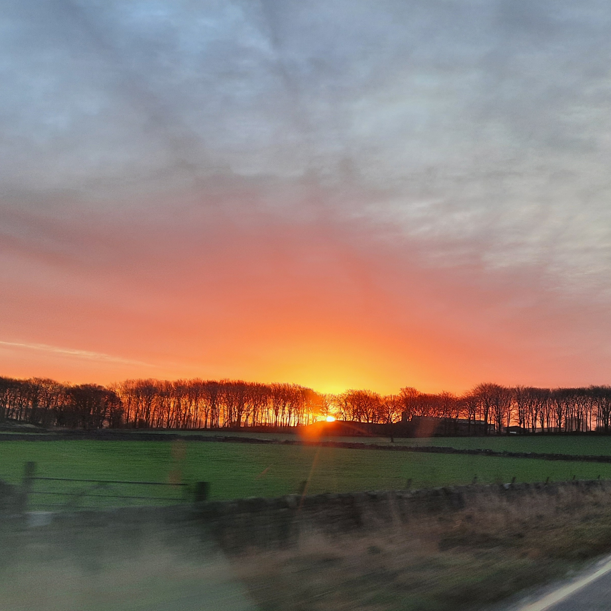  A sunrise through trees along the A515 to Ashbourne