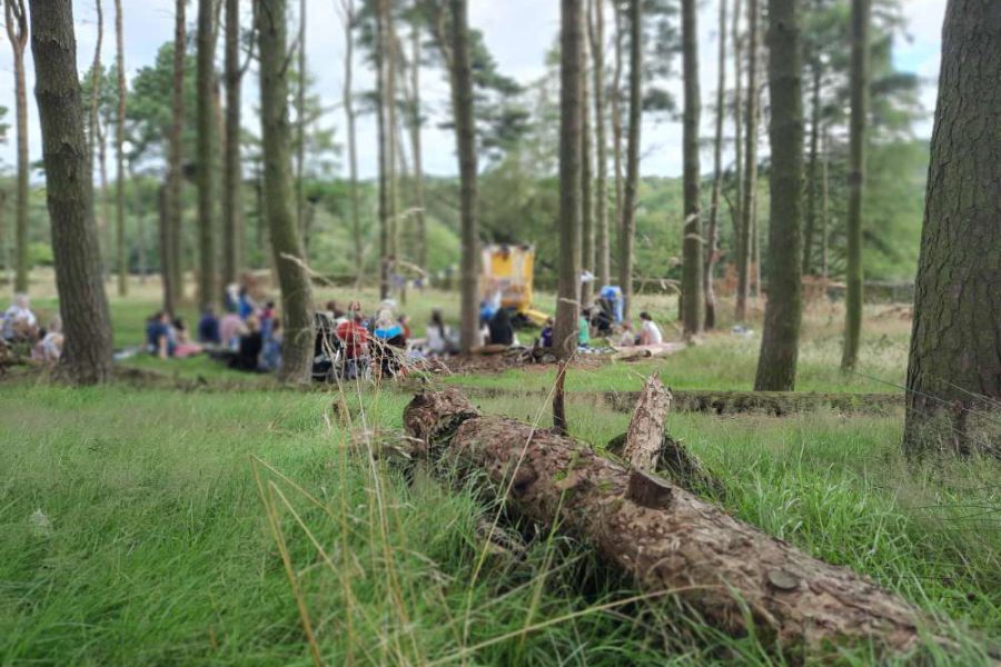 an arty photo of a woodland setting. The camera focuses on a fallen log and out of focus in the background an audience watch a theatre show