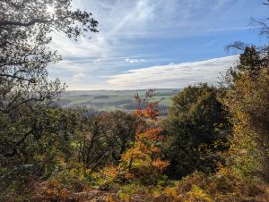 Looking out from a woodland towards rolling hills in the distance. The sun is shining and the sky is blue and the clouds are white. It is autumn and the trees are awash with colour. 