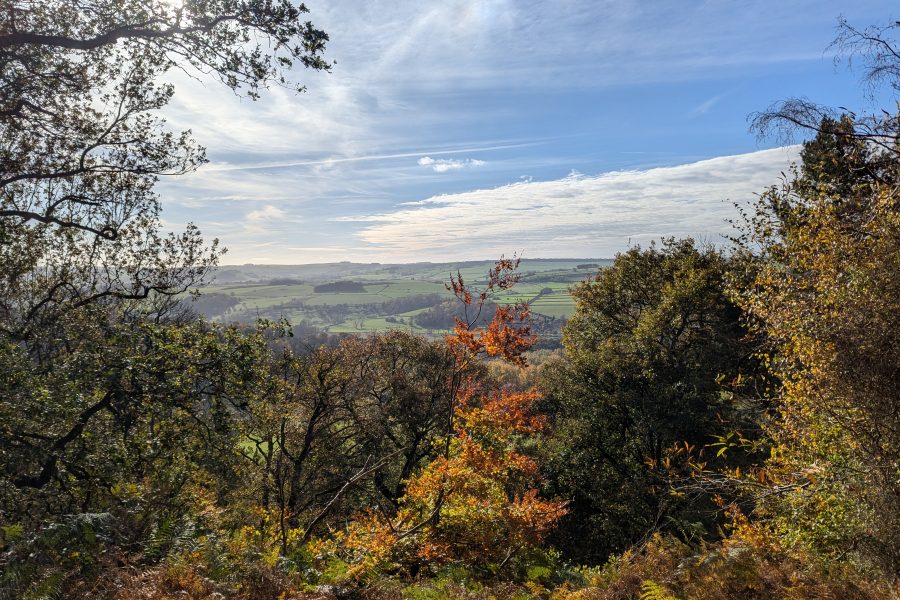 Looking out from a woodland towards rolling hills in the distance. The sun is shining and the sky is blue and the clouds are white. It is autumn and the trees are awash with colour.