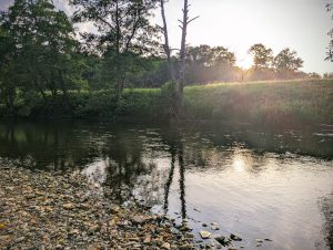 Photo of a river with a pebbly beach and trees on a grassy riverbank. The sun is giving everyhting a warm glow.