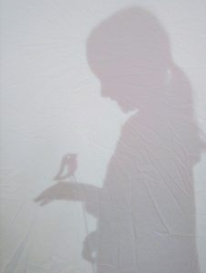 the shadow of a girl fills the frame. She is holding a shadow puppet of a robin on her outstretched hand
