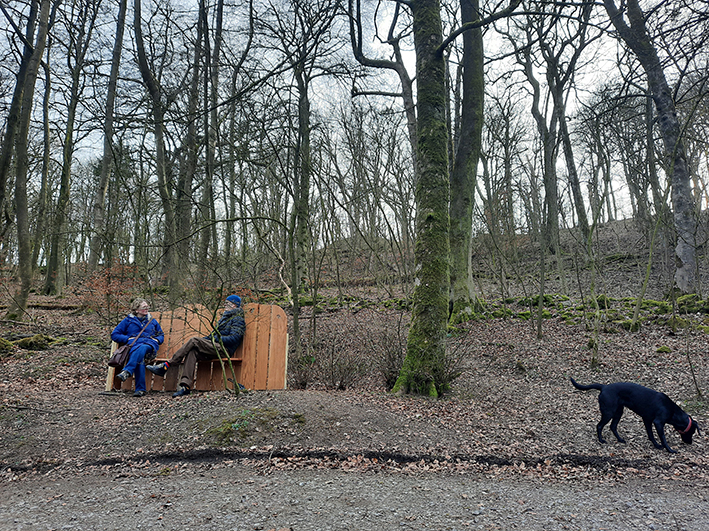 Two people sit on a wooden bench in GrinLow Woods with a black dog sniffing in the undergrowth