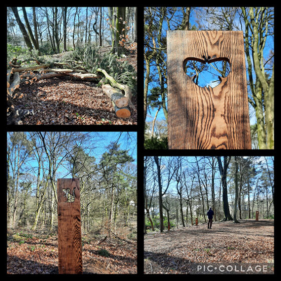 A group of photos that show wooden boards with animal cutouts in Gadley Woods